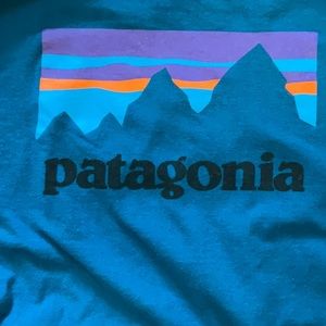 Patagonia logo long sleeve t-shirt size L large organic cotton blue
